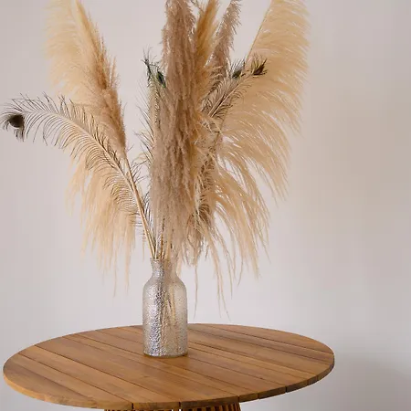 Oriente & ايسكيا