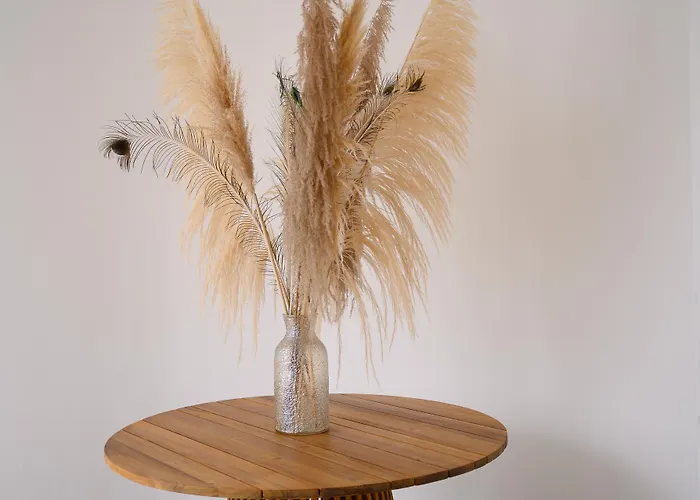 Oriente & Искья